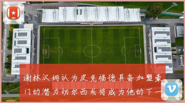 谢林汉姆认为皮克福德具备加盟豪门的潜力切尔西或将成为他的下一个选择